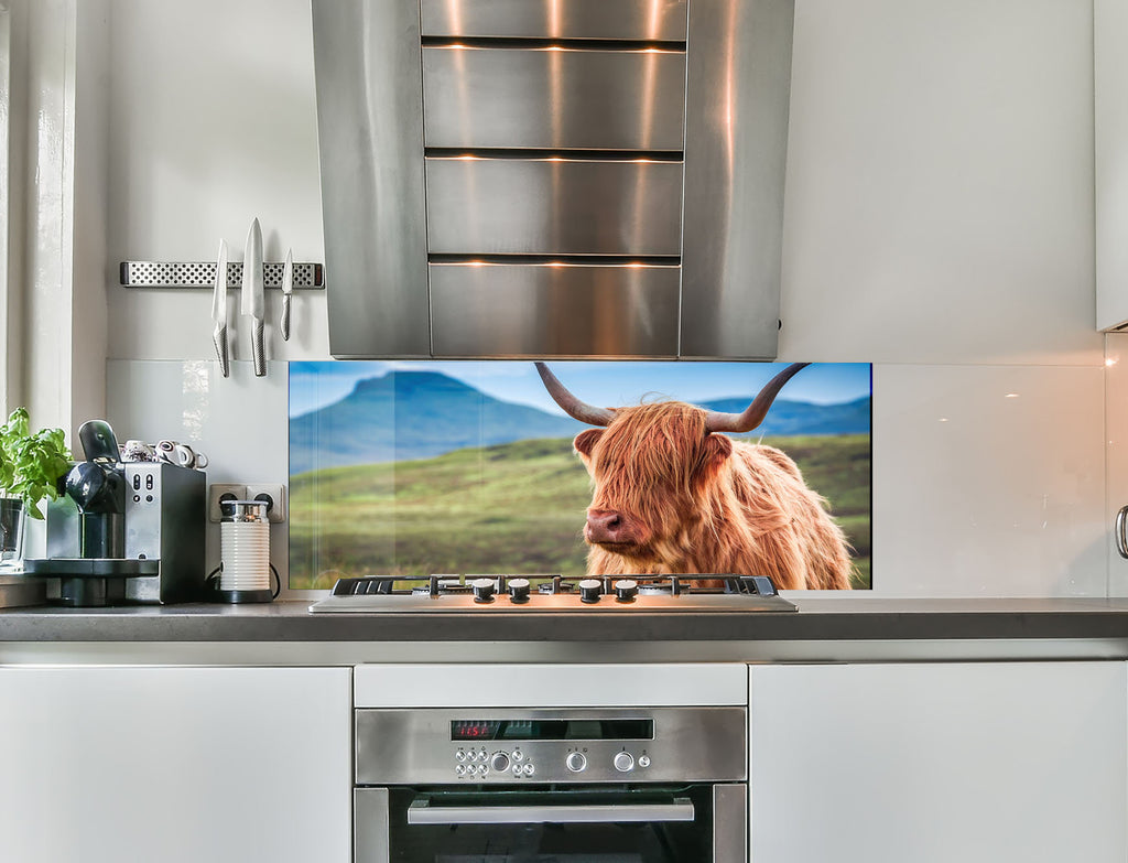 a picture of a cow is on the wall of a kitchen