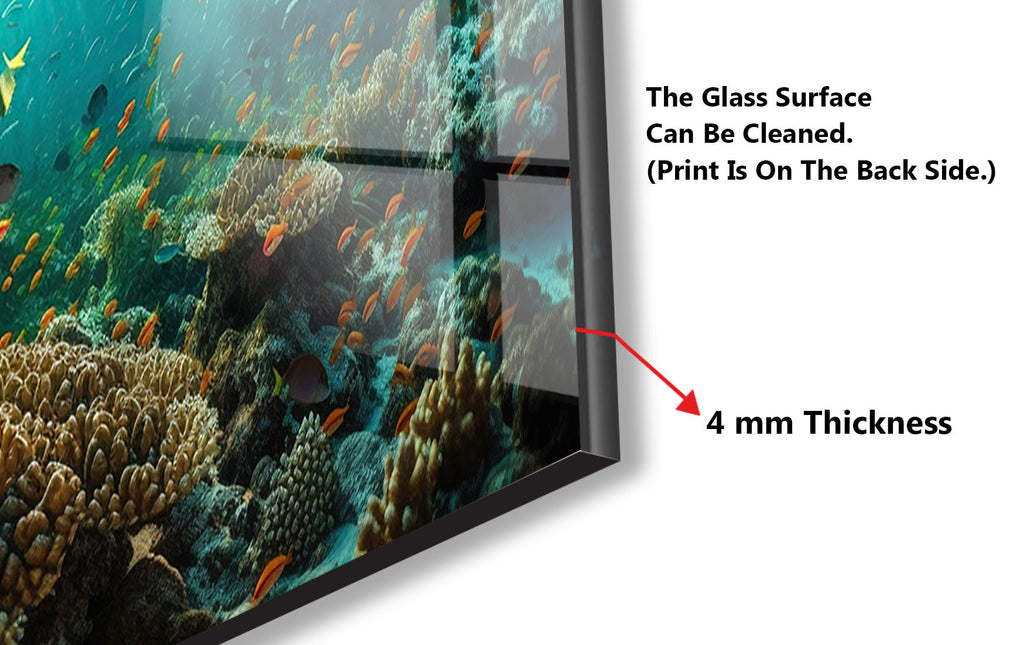 a fish tank with a glass surface and a picture of corals