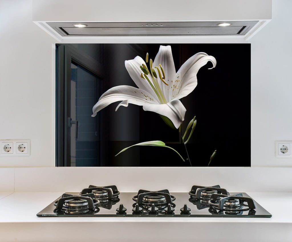 a picture of a white lily on a black background