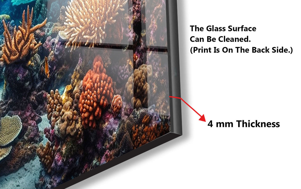 a picture of a fish tank with the words the glass surface can be cleaned,