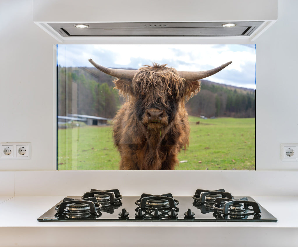 a picture of a cow in a kitchen window