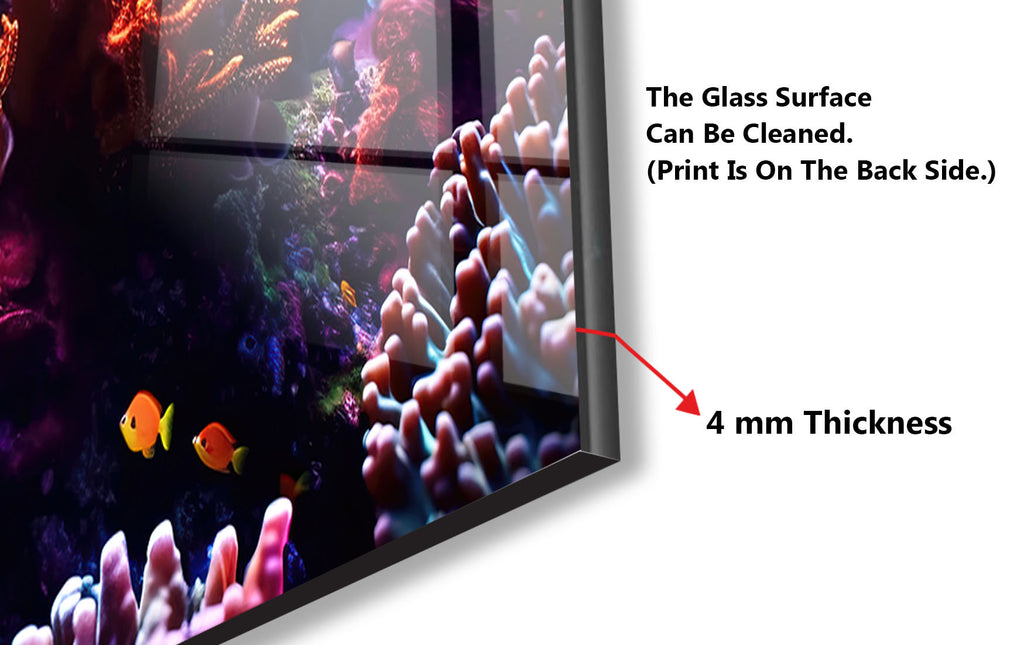 a picture of a fish tank and its features